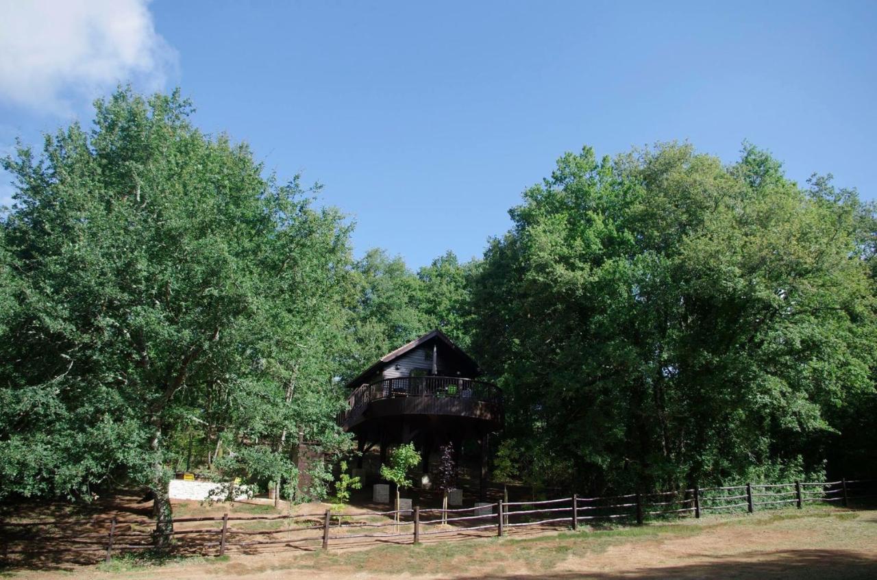 Cabane De La Mesange Auriac-du-Périgord Exterior foto